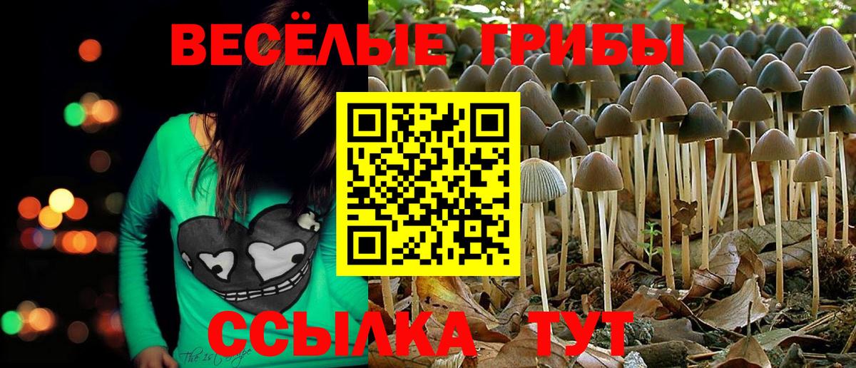 Псилоцибиновые грибы Magic Shrooms Полевской