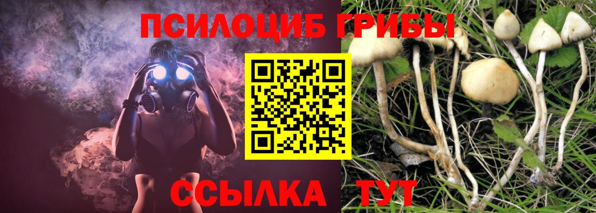 цена   Галлюциногенные грибы Magic Shrooms  Галлюциногенные грибы мухоморы  Вход с VPN  Полевской 
